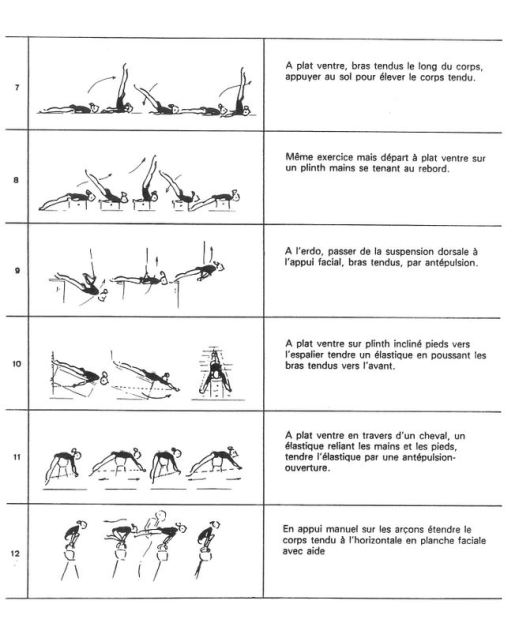 Voici des exemples d'exercices de renforcement musculaire 