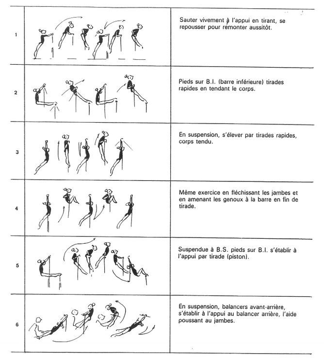 Voici des exemples d'exercices de renforcement musculaire 