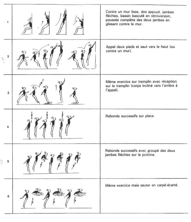 Voici des exemples d'exercices de renforcement musculaire 